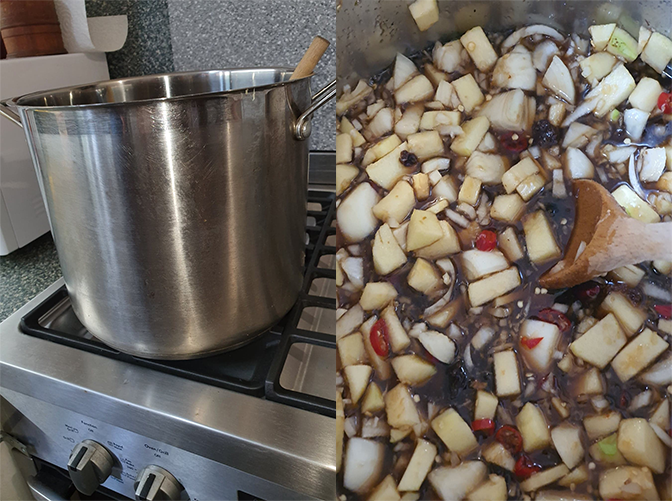 Chopped up ingredients and the pot